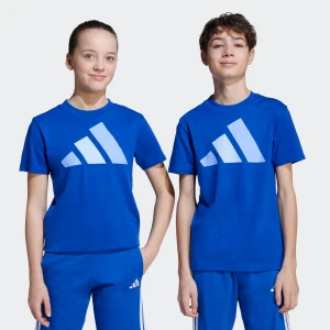 Adidas Youth Big Logo Cotton Tee Royal Blue/Blue Fusion/Glow Blue