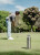 Cheeki Insulated Classic Water Bottle 1 Litre Silver Cheeki Insulated Classic Water Bottle 1 Litre Silver