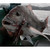 Catch Squidwings Lure Blue 60g Catch Squidwings Lure Blue 60g