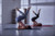 Adidas Pilates/Yoga Mat 8mm Trace Blue Adidas Pilates/Yoga Mat 8mm Trace Blue