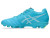 Asics Youth DS Light Firm Ground Boots Aquarium/White Asics Youth DS Light Firm Ground Boots Aquarium/White