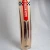 Gray Nicolls Vector Force English Willow Cricket Bat Short Hand 26/27