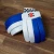 Gray Nicolls GN 500 Batting Gloves Right Hand White/Blue