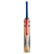 Gray Nicolls Volt 500 Junior English Willow Cricket Bat 26/27