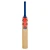 Gray Nicolls Volt Strike Junior Kashmir Cricket Bat 26/27
