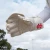 Gray Nicolls Prestige Wicket Keeping Gloves Adult White