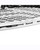 Tecnifibre Carboflex Neo X-Top El Sherbini Squash Racquet 125