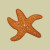 Ochre Sea Star Iron On Patch - Mustard Beetle