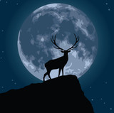 Full Buck Super Moon Monday July 3rd