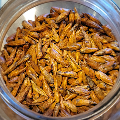 what is american blend tobacco American Blend Gold – EuroFlavor