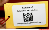 Printing Data Matrix Codes on the Epson LX-PX400