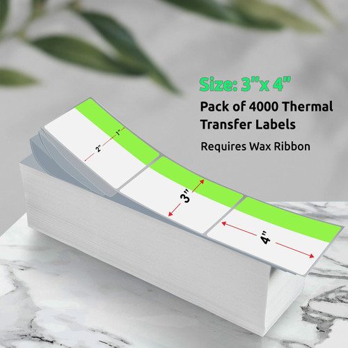 Thermal Transfer 3" x 4" Green/White Matte Paper Labels 4000/Carton Image 1