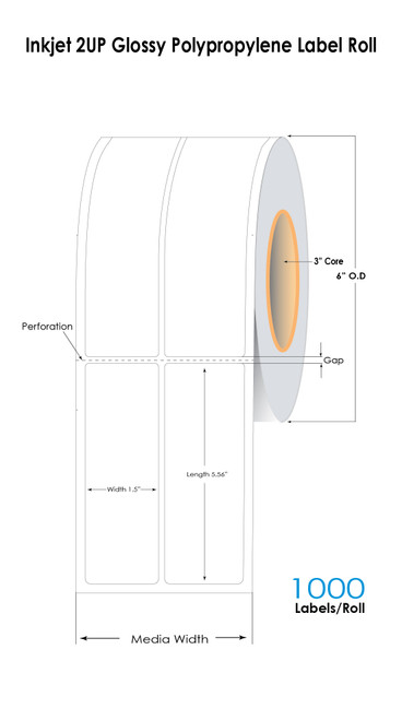 C7500G 1.5" x 5.56" Glossy Polypropylene Labels 1000/Roll (2 UP) 6" OD