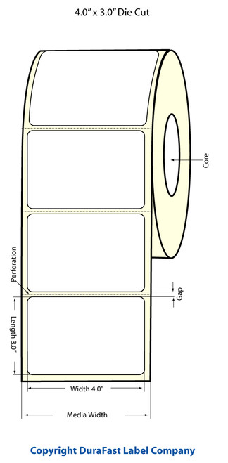 TM-C3500 4" x 3" (1A) High Gloss Paper Label 380/Roll Image 1