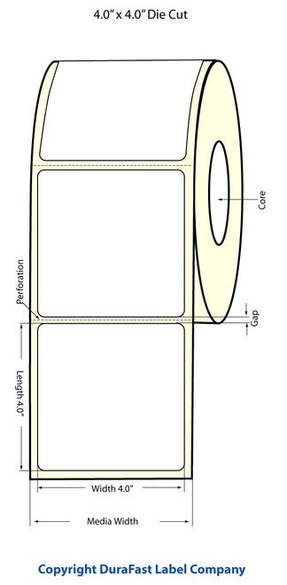 TM-C3500 4" x 4" (1A) High Gloss Paper Label 290/Roll Image 1