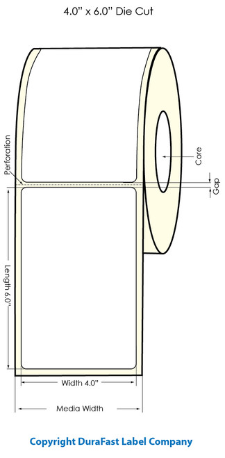 LX500 4" x 6"  Clear Polyester Label 325/Roll Image 1