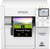 TM-C3500 4" x 8" (1A) Matte Paper Label 140/Roll