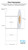 Thermal Transfer 2in x 2in Clear Polypropylene Labels 920/Roll 1in Core - 4in OD