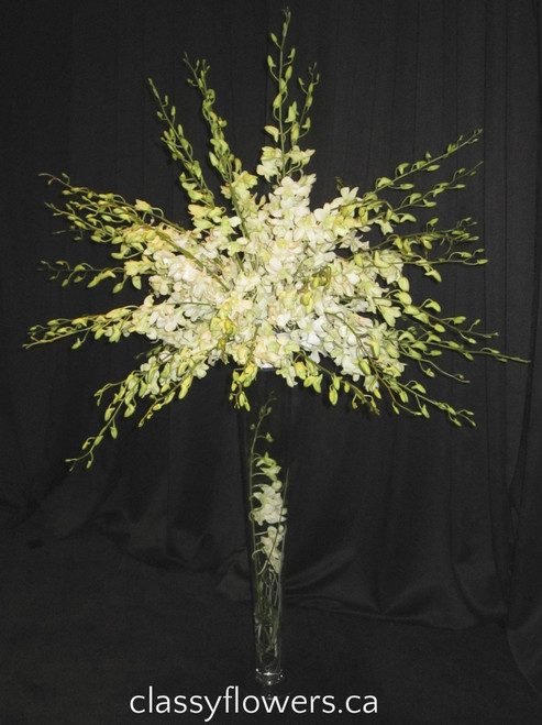 denrobium orchids tree.
classy flowers