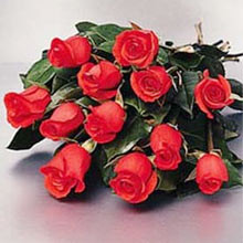 12 Fresh Cut Roses