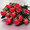 12 Fresh Cut Roses
