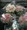 Package bridesmaids bouquets samples 