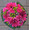 Bridal Bouquet