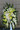 Medium size standing spray with white and cream flowers 