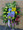 Medium size funeral standing spray with bright flowers 