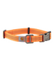 Carhartt Dog Collar