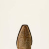 Ariat Women’s Round Up Collins D Toe Western Boot
