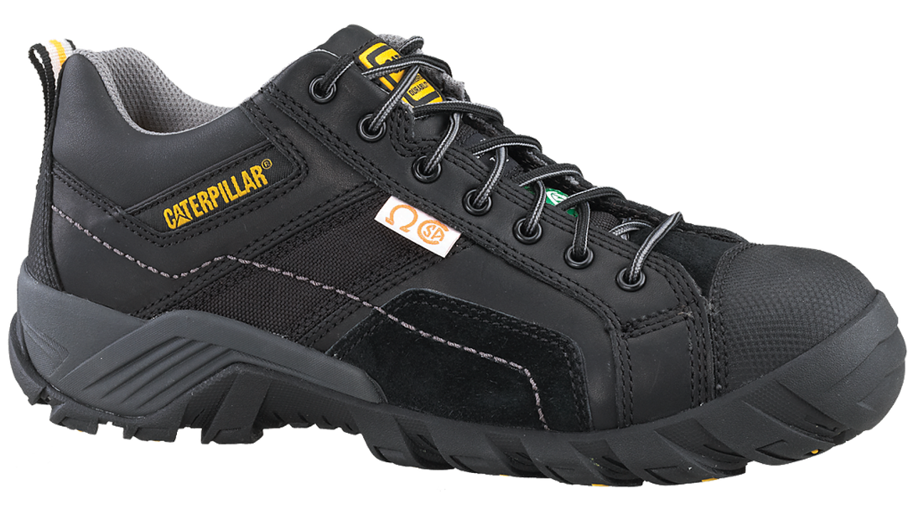 Black Cat Shoes Cost Cat Meme Stock Pictures and Photos