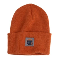 Carhartt Watch Cap Graphic Beanie