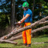 Notch Chainsaw Standard Chaps - NFPA Certified