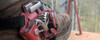 Harken Ninja Foot Ascender (IN400)