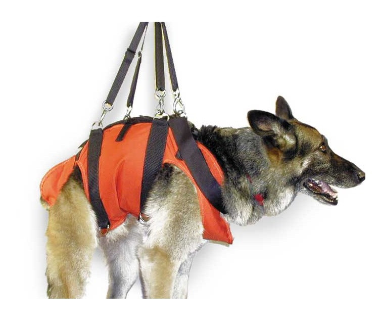 Dog Rescue Harness Search and Rescue Dog Harness