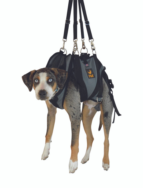 dog rappelling harness