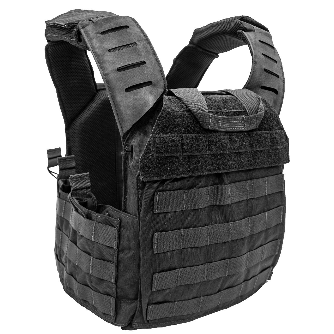Black_Back__38571.1767986689.