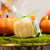 Fall Soap and Lip Balm Set Fall Soap and Lip Balm Set