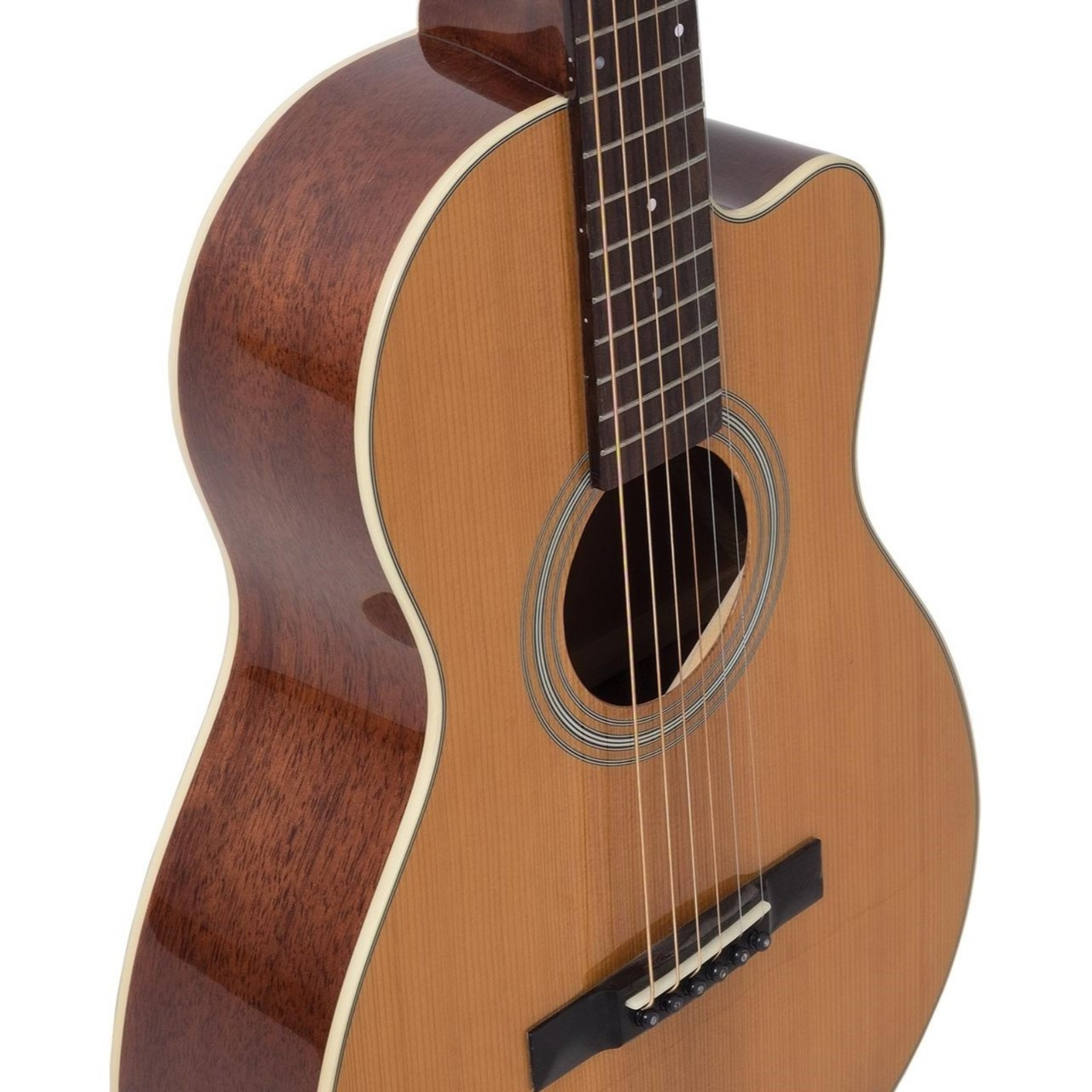 Recording King RP1-16C Schoenberg Torrefied Adirondack