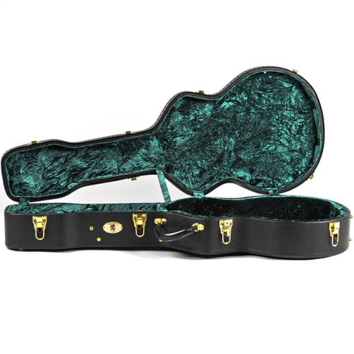 vintage acoustic guitar case