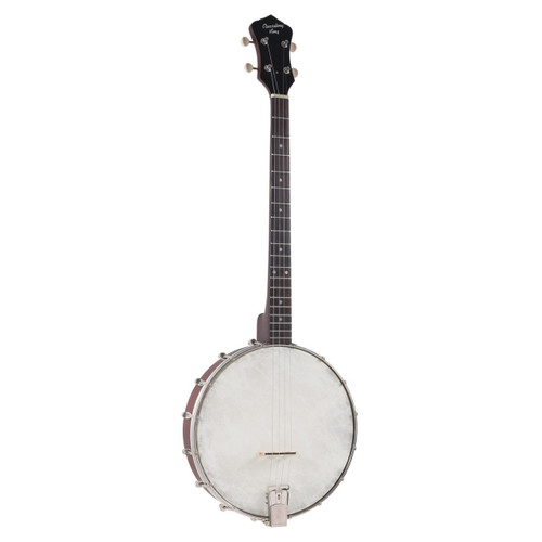 Recording King RKT-05 Dirty 30's Open Back Tenor Banjo