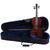 Palatino VN-450 Hand Carved Allegro Violin Outfit, 3/4 Size