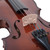 Palatino VN-350 Campus Hand-Carved Violin Outfit with Case and Bow, 1/2 Size (VN-350-1/2)