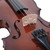 Palatino VN-350 Campus Hand-Carved Violin Outfit with Case and Bow, 3/4 Size (VN-350-3/4)