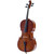 Palatino VC-450-1/2 Allegro Hand-Carved Cello Outfit with Case and Bow, 1/2 Size (VC-450-1/2)