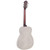 Recording King RM-998-R Style-0 Roundneck Acoustic Resonator Guitar, Nickel-Plated (RM-998-R)