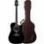 Takamine EF341SC Dreadnought Acoustic Electric Guitar w/ Hard Case, Black