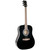 Johnson JG-620-B Player Series Dreadnought Acoustic Guitar, Black