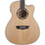 Washburn AG40CE Apprentice Grand Auditorium Acoustic Electric Guitar with Case, Natural (AG40CEK-A-U)
